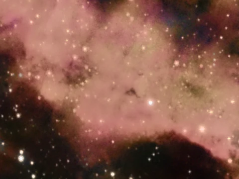 The same crop after denoising, star separation and detail processing