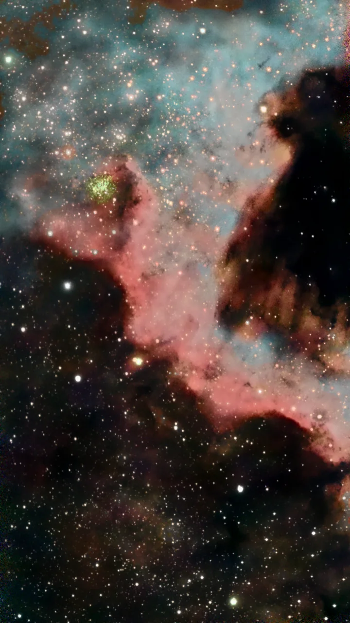 North America Nebula NGC 7000 finished in AstroForge